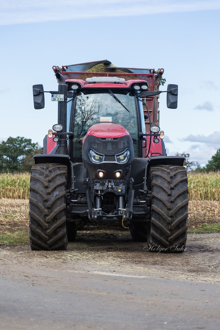 Bild 146 - Maisernte